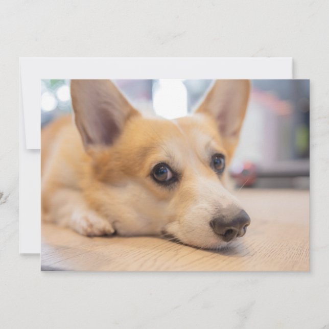 Cutest Baby Animals | Corgi Puppy on Floor Thank You Card (Front)