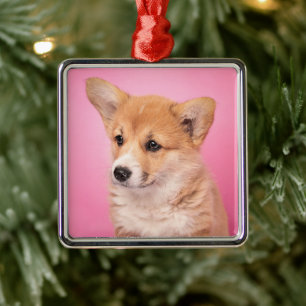 Cutest Baby Animals   Corgi Puppy on Pink Metal Tree Decoration