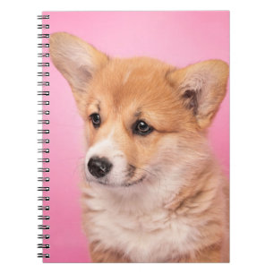 Cutest Baby Animals Corgi Puppy on Pink Notebook