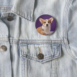 Cutest Baby Animals   Corgi Puppy on Purple 6 Cm Round Badge