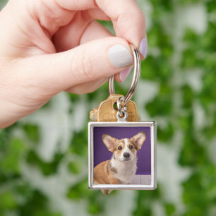 Cutest Baby Animals   Corgi Puppy on Purple Key Ring