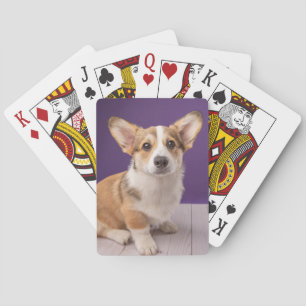 Cutest Baby Animals Corgi Puppy on Purple Playing Cards