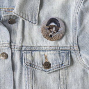 Cutest Baby Animals   Corgi Puppy on Shag Rug 6 Cm Round Badge