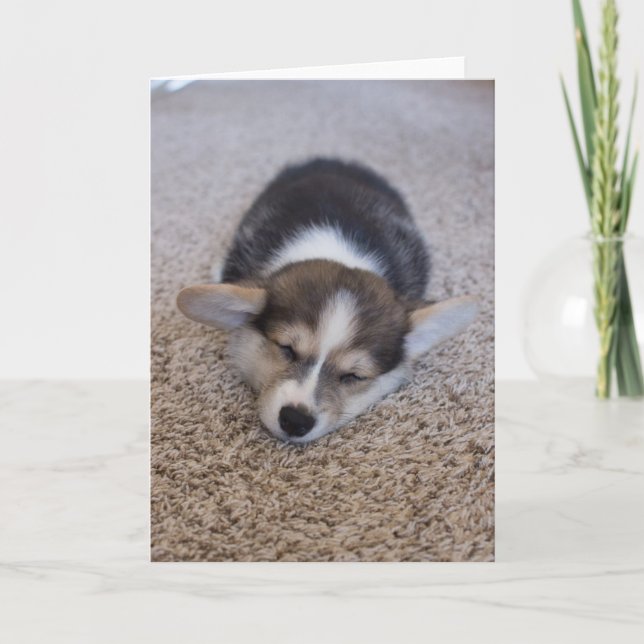 Cutest Baby Animals | Corgi Puppy on Shag Rug Card (Front)