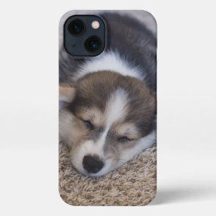 Cutest Baby Animals   Corgi Puppy on Shag Rug iPhone 13 Case