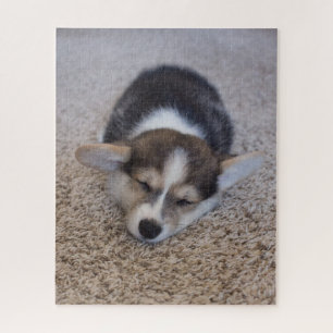 Cutest Baby Animals   Corgi Puppy on Shag Rug Jigsaw Puzzle