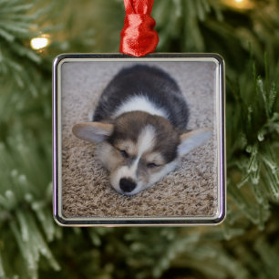 Cutest Baby Animals   Corgi Puppy on Shag Rug Metal Tree Decoration