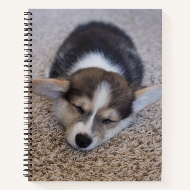 Cutest Baby Animals | Corgi Puppy on Shag Rug Notebook (Front)
