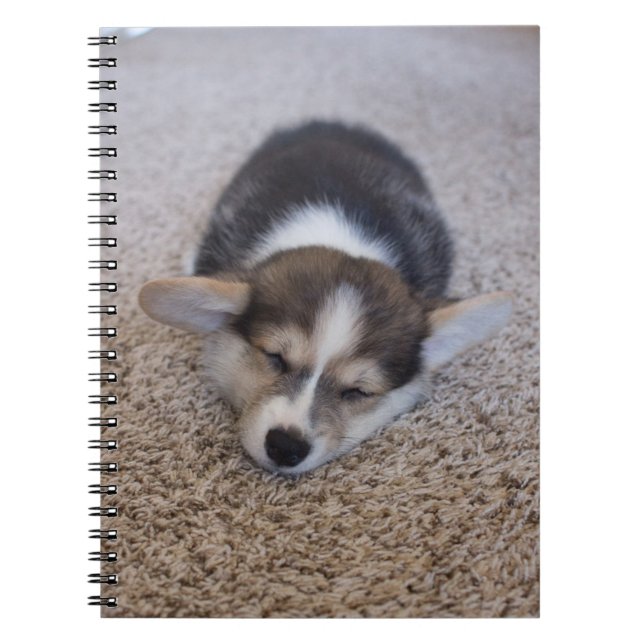 Cutest Baby Animals | Corgi Puppy on Shag Rug Notebook (Front)