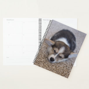 Cutest Baby Animals Corgi Puppy on Shag Rug Planner