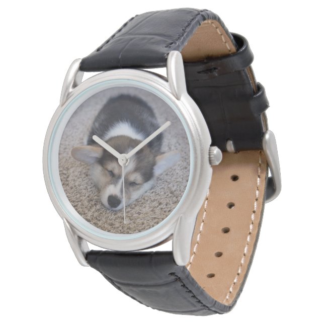 Cutest Baby Animals | Corgi Puppy on Shag Rug Watch (Angled)