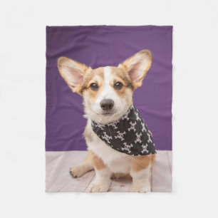 Cutest Baby Animals   Corgi Puppy Skull Bandana Fleece Blanket