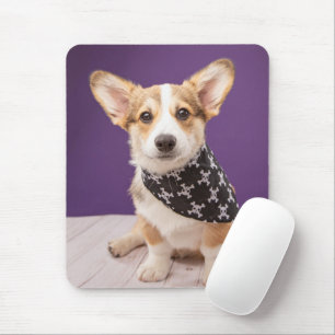 Cutest Baby Animals   Corgi Puppy Skull Bandana Mouse Mat