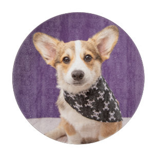 Cutest Baby Animals Corgi Puppy Skull Bandanna Cutting Board