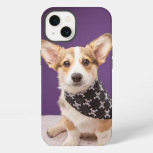 Cutest Baby Animals Corgi Puppy Skull Bandanna iPhone 13 Case