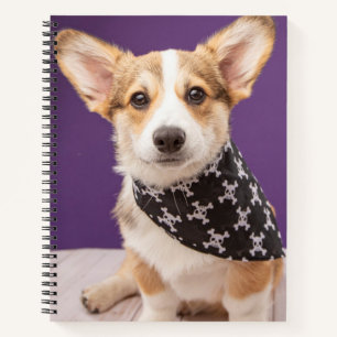 Cutest Baby Animals Corgi Puppy Skull Bandanna Notebook