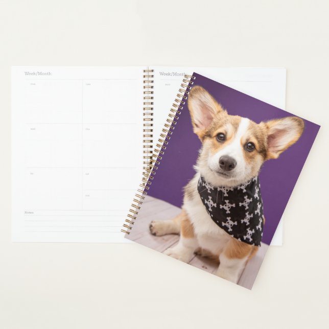 Cutest Baby Animals | Corgi Puppy Skull Bandanna Planner (Display)