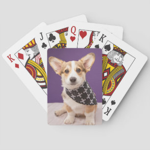 Cutest Baby Animals   Corgi Puppy Skull Bandanna Playing Cards