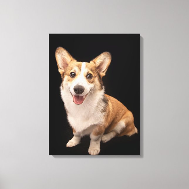 Cutest Baby Animals | Corgi Puppy Smile Canvas Print (Front)