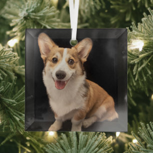 Cutest Baby Animals Corgi Puppy Smile Glass Tree Decoration