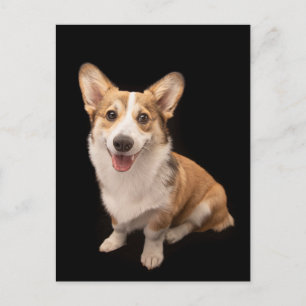Cutest Baby Animals Corgi Puppy Smile Postcard