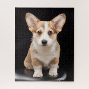 Cutest Baby Animals   Corgi Puppy Standing Tall Jigsaw Puzzle