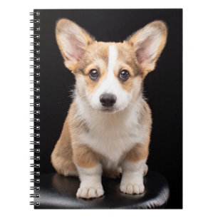 Cutest Baby Animals Corgi Puppy Standing Tall Notebook