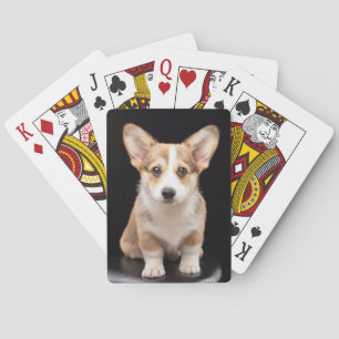 Cutest Baby Animals   Corgi Puppy Standing Tall Playing Cards