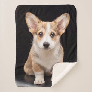 Cutest Baby Animals Corgi Puppy Standing Tall Sherpa Blanket