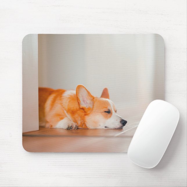 Cutest Baby Animals | Corgi Sleeping Mouse Mat (With Mouse)