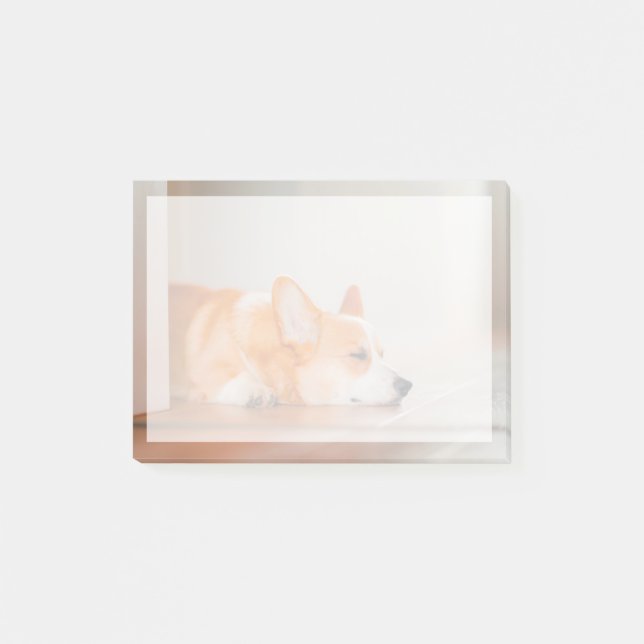 Cutest Baby Animals | Corgi Sleeping Post-it Notes (Front)