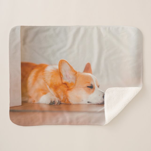 Cutest Baby Animals | Corgi Sleeping Sherpa Blanket (Front (Horizontal))