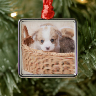 Cutest Baby Animals Corgi Tiny Puppy Metal Tree Decoration
