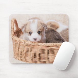 Cutest Baby Animals   Corgi Tiny Puppy Mouse Mat
