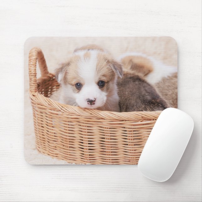 Cutest Baby Animals | Corgi Tiny Puppy Mouse Mat (With Mouse)