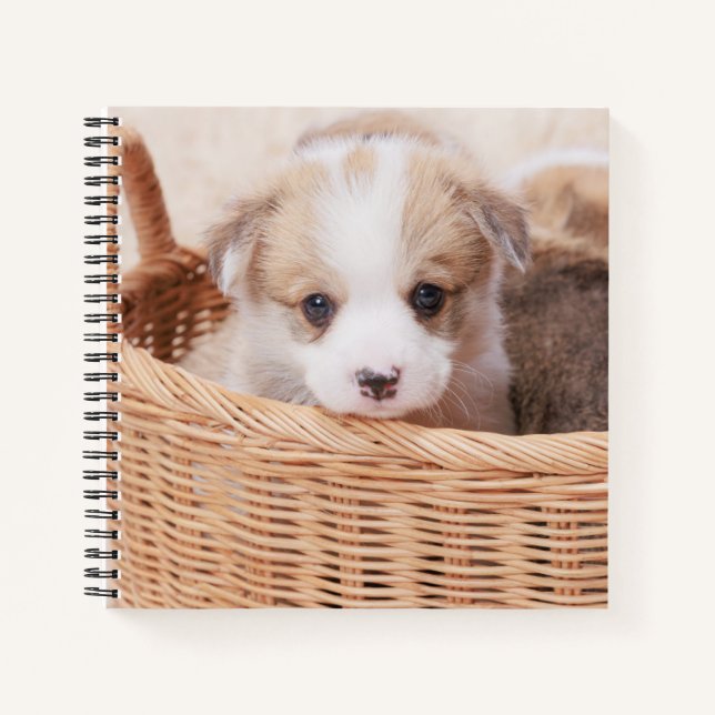 Cutest Baby Animals | Corgi Tiny Puppy Notebook (Front)