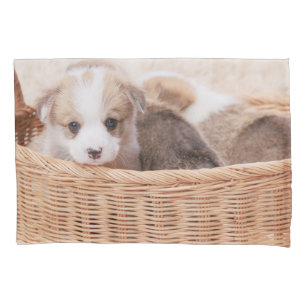 Cutest Baby Animals   Corgi Tiny Puppy Pillowcase