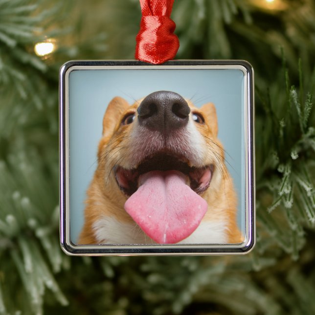 Cutest Baby Animals | Corgi Tongue Metal Tree Decoration (Tree)