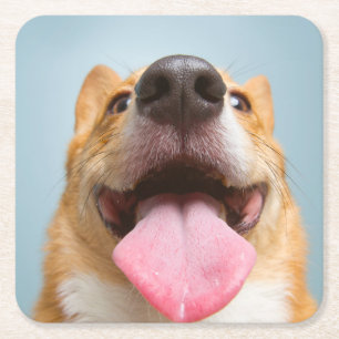 Cutest Baby Animals Corgi Tongue Square Paper Coaster