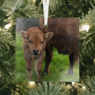 Cutest Baby Animals   Cow & Calf Glass Tree Decoration