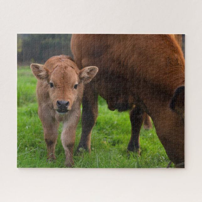Cutest Baby Animals | Cow & Calf Jigsaw Puzzle (Horizontal)