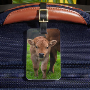 Cutest Baby Animals   Cow & Calf Luggage Tag