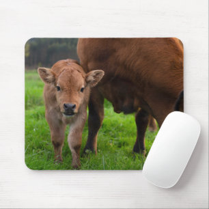 Cutest Baby Animals Cow & Calf Mouse Mat