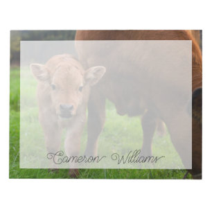 Cutest Baby Animals   Cow & Calf Notepad