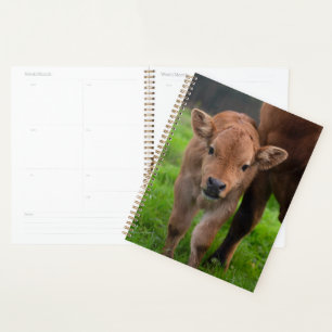 Cutest Baby Animals   Cow & Calf Planner