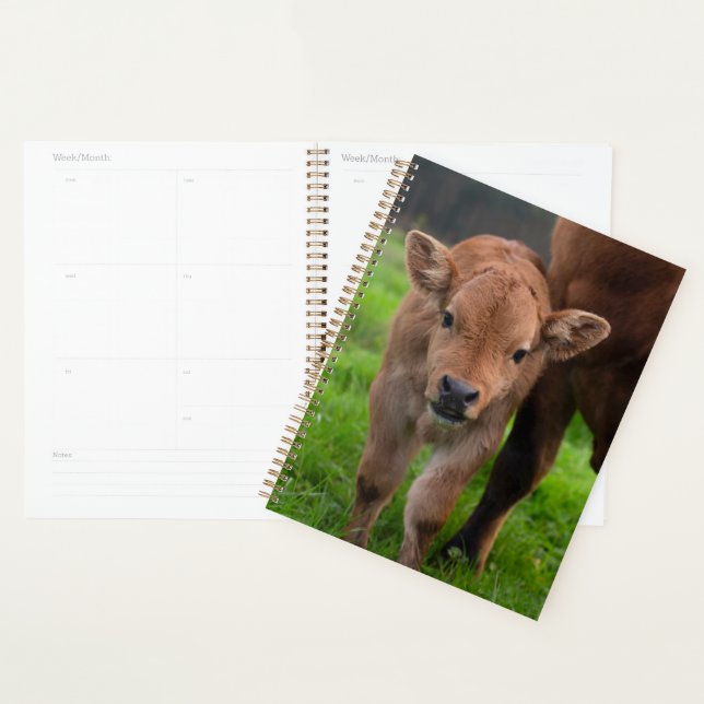 Cutest Baby Animals | Cow & Calf Planner (Display)