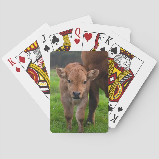 Cutest Baby Animals | Cow & Calf Playing Cards (Back)