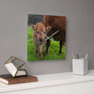 Cutest Baby Animals Cow & Calf Square Wall Clock