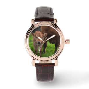 Cutest Baby Animals   Cow & Calf Watch