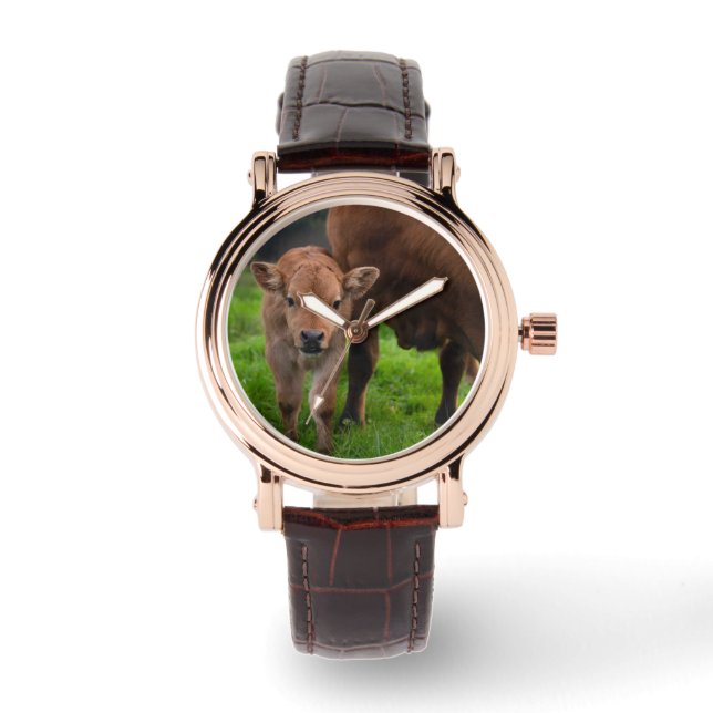 Cutest Baby Animals | Cow & Calf Watch (Front)